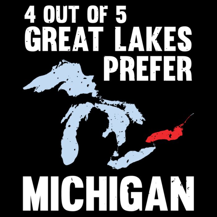 Four Out of Five Great Lakes Prefer Michigan Tee Impact Tech Backpack