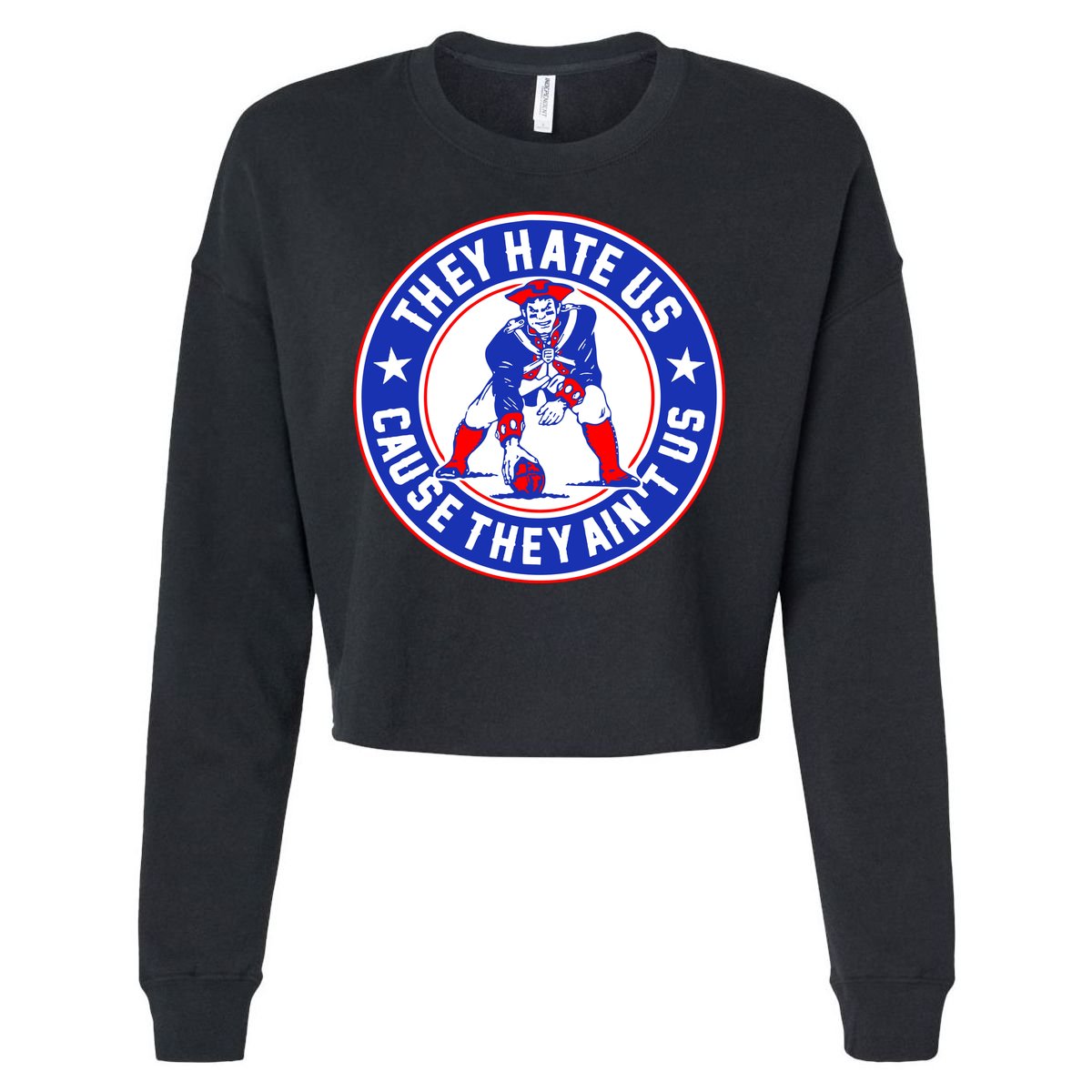 Football Champions They Hate Us Cause They Ain't US New England Cropped Pullover Crew