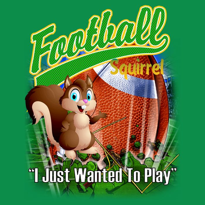 Football Squirrel Runs On The Field Funny Long Sleeve Shirt