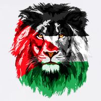 Flag Of Palestine Lion Face Palestine Flag Sustainable Bucket Hat
