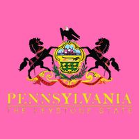 Flag Of Pennsylvania The Keystone State Philadelphia Stripe Pom Pom Beanie
