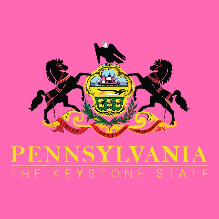 Flag Of Pennsylvania The Keystone State Philadelphia Stripe Pom Pom Beanie