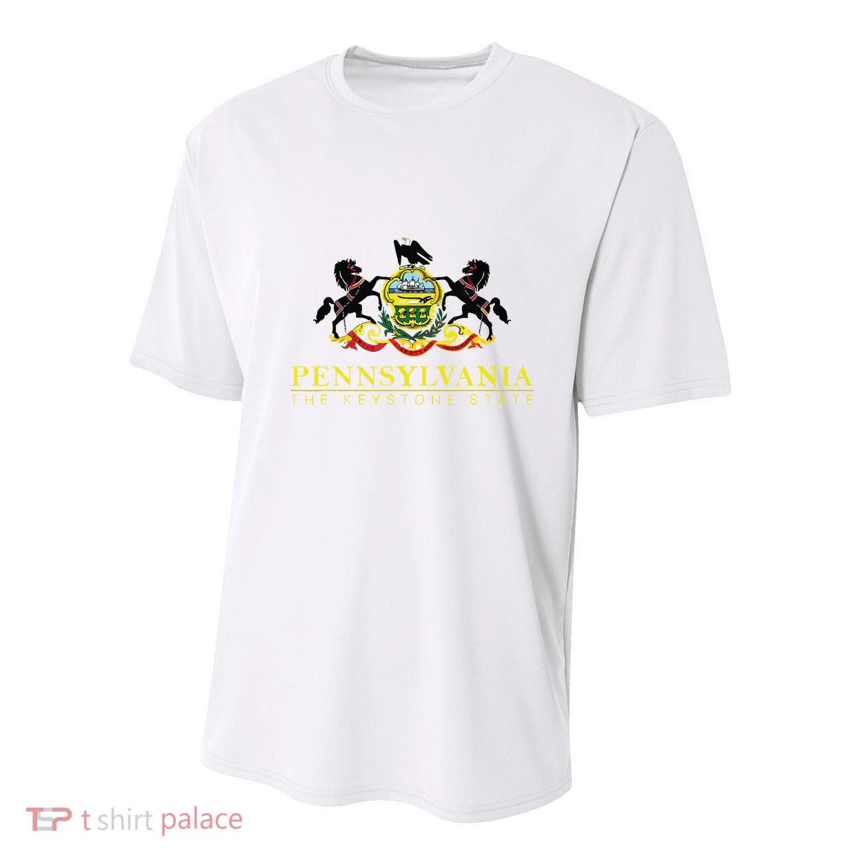 Flag Of Pennsylvania The Keystone State Philadelphia Youth Performance Sprint T-Shirt