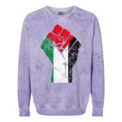 Fist of Palestine Free Palestine Colorblast Crewneck Sweatshirt