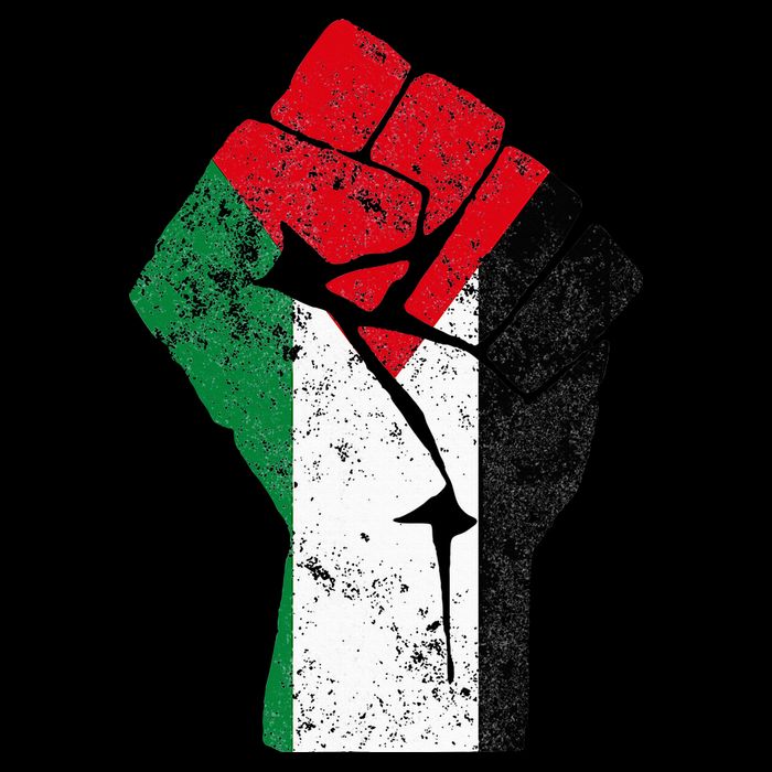 Fist of Palestine Free Palestine 16 in Basic Backpack