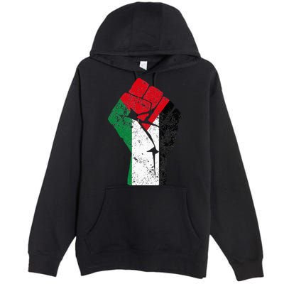 Fist of Palestine Free Palestine Premium Pullover Hoodie