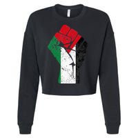 Fist of Palestine Free Palestine Cropped Pullover Crew