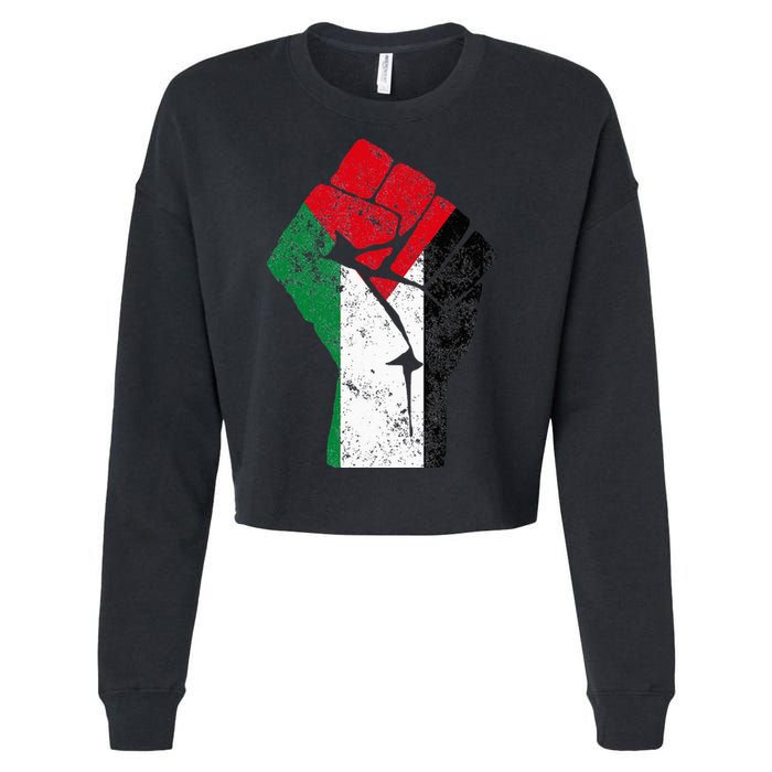Fist of Palestine Free Palestine Cropped Pullover Crew