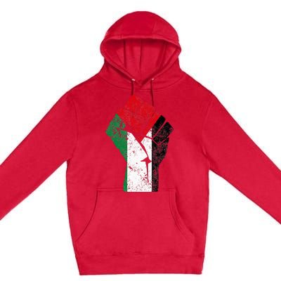 Fist of Palestine Free Palestine Premium Pullover Hoodie