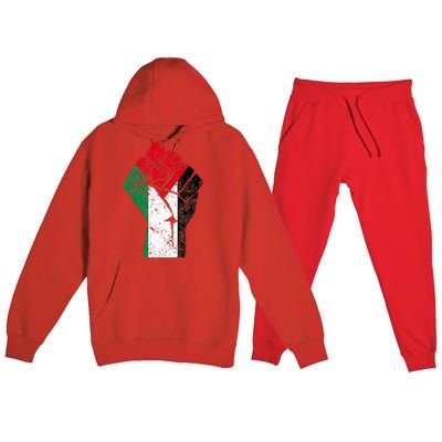 Fist of Palestine Free Palestine Premium Hooded Sweatsuit Set