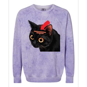 Full Of Paranoid Delusions And Violent Funny Meme Cat Colorblast Crewneck Sweatshirt