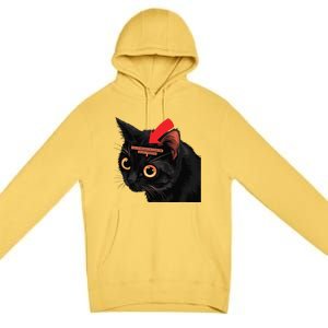 Full Of Paranoid Delusions And Violent Funny Meme Cat Premium Pullover Hoodie