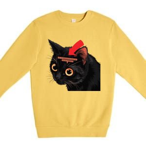 Full Of Paranoid Delusions And Violent Funny Meme Cat Premium Crewneck Sweatshirt