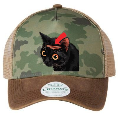 Full Of Paranoid Delusions And Violent Funny Meme Cat Legacy Tie Dye Trucker Hat