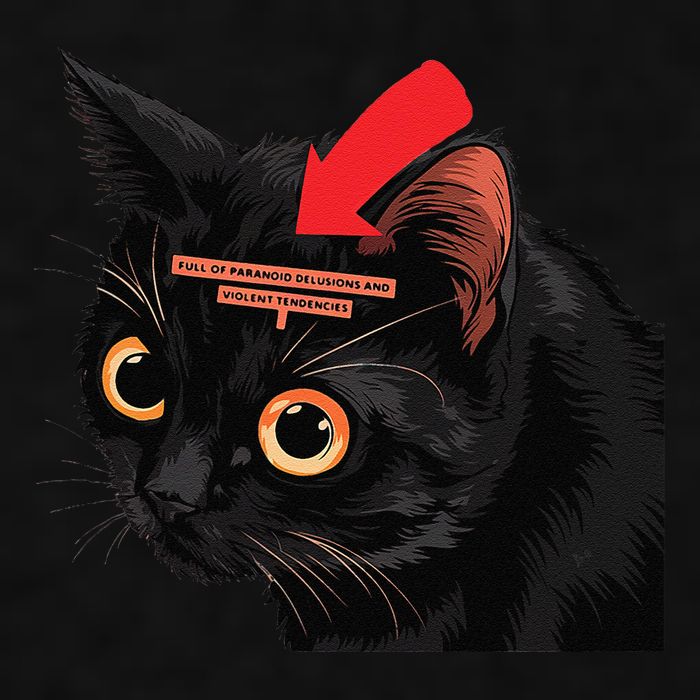 Full Of Paranoid Delusions And Violent Funny Meme Cat Ladies PosiCharge Tri-Blend Wicking Tank