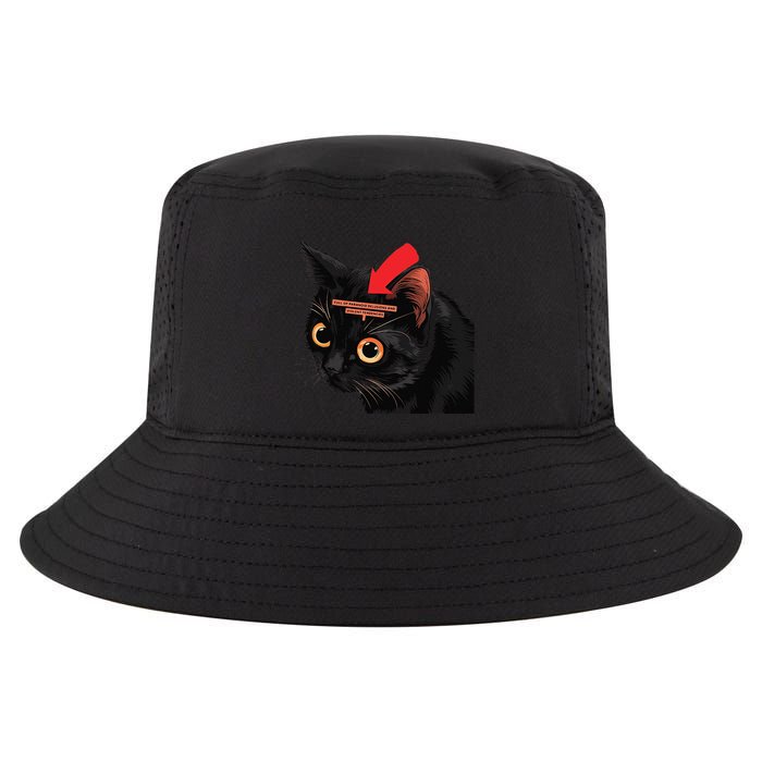 Full Of Paranoid Delusions And Violent Funny Meme Cat Cool Comfort Performance Bucket Hat