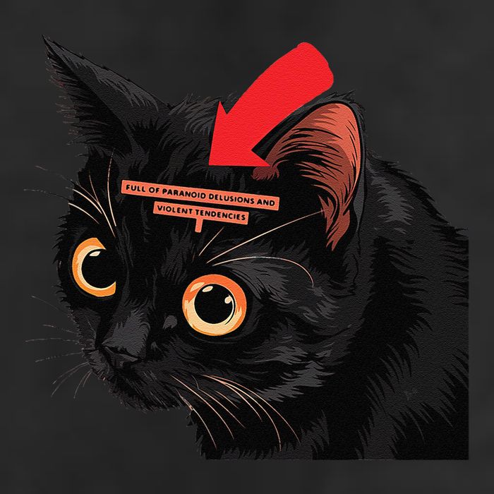 Full Of Paranoid Delusions And Violent Funny Meme Cat Cool Comfort Performance Bucket Hat