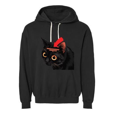 Full Of Paranoid Delusions And Violent Funny Meme Cat Garment-Dyed Fleece Hoodie