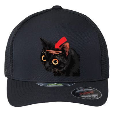 Full Of Paranoid Delusions And Violent Funny Meme Cat Flexfit Unipanel Trucker Cap