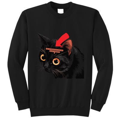 Full Of Paranoid Delusions And Violent Funny Meme Cat Sweatshirt