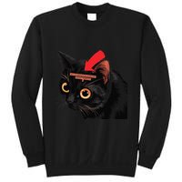 Full Of Paranoid Delusions And Violent Funny Meme Cat Sweatshirt