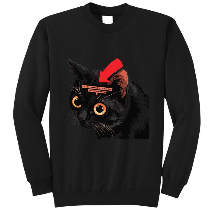 Full Of Paranoid Delusions And Violent Funny Meme Cat Sweatshirt
