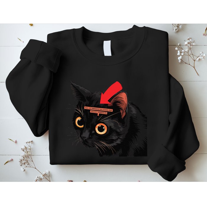 Full Of Paranoid Delusions And Violent Funny Meme Cat Sweatshirt