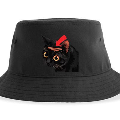 Full Of Paranoid Delusions And Violent Funny Meme Cat Sustainable Bucket Hat