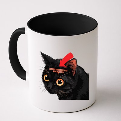 Full Of Paranoid Delusions And Violent Funny Meme Cat Mug