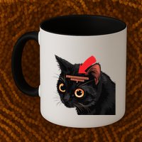 Full Of Paranoid Delusions And Violent Funny Meme Cat Mug