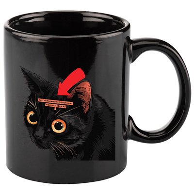 Full Of Paranoid Delusions And Violent Funny Meme Cat 11oz C Handle Ceramic Mug