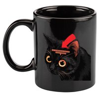 Full Of Paranoid Delusions And Violent Funny Meme Cat 11oz C Handle Ceramic Mug