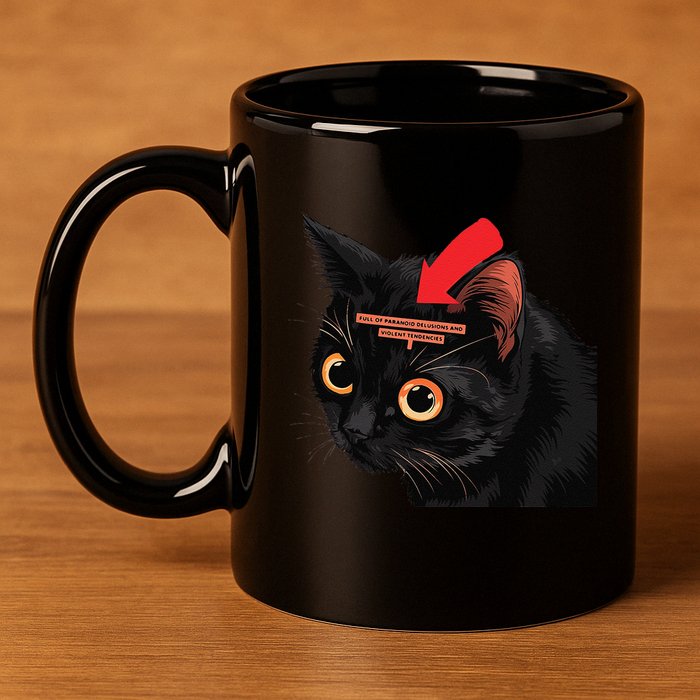 Full Of Paranoid Delusions And Violent Funny Meme Cat 11oz C Handle Ceramic Mug