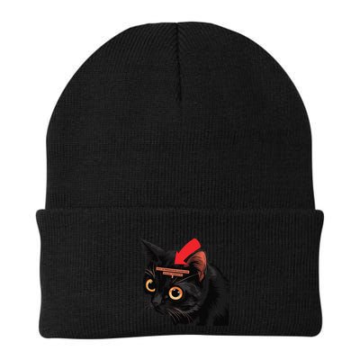 Full Of Paranoid Delusions And Violent Funny Meme Cat Beanie