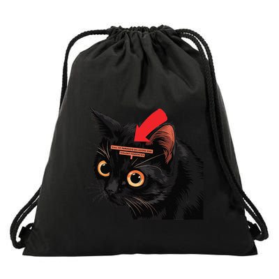 Full Of Paranoid Delusions And Violent Funny Meme Cat Drawstring Bag