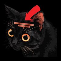 Full Of Paranoid Delusions And Violent Funny Meme Cat 16 in Basic Backpack