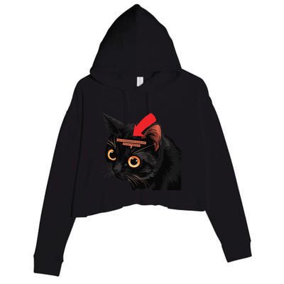 Full Of Paranoid Delusions And Violent Funny Meme Cat Crop Fleece Hoodie