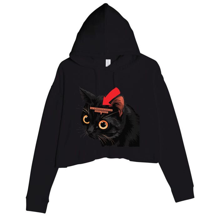 Full Of Paranoid Delusions And Violent Funny Meme Cat Crop Fleece Hoodie