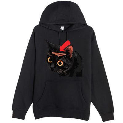 Full Of Paranoid Delusions And Violent Funny Meme Cat Premium Pullover Hoodie