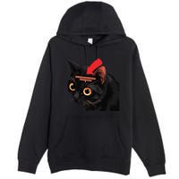 Full Of Paranoid Delusions And Violent Funny Meme Cat Premium Pullover Hoodie