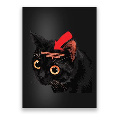 Full Of Paranoid Delusions And Violent Funny Meme Cat Poster