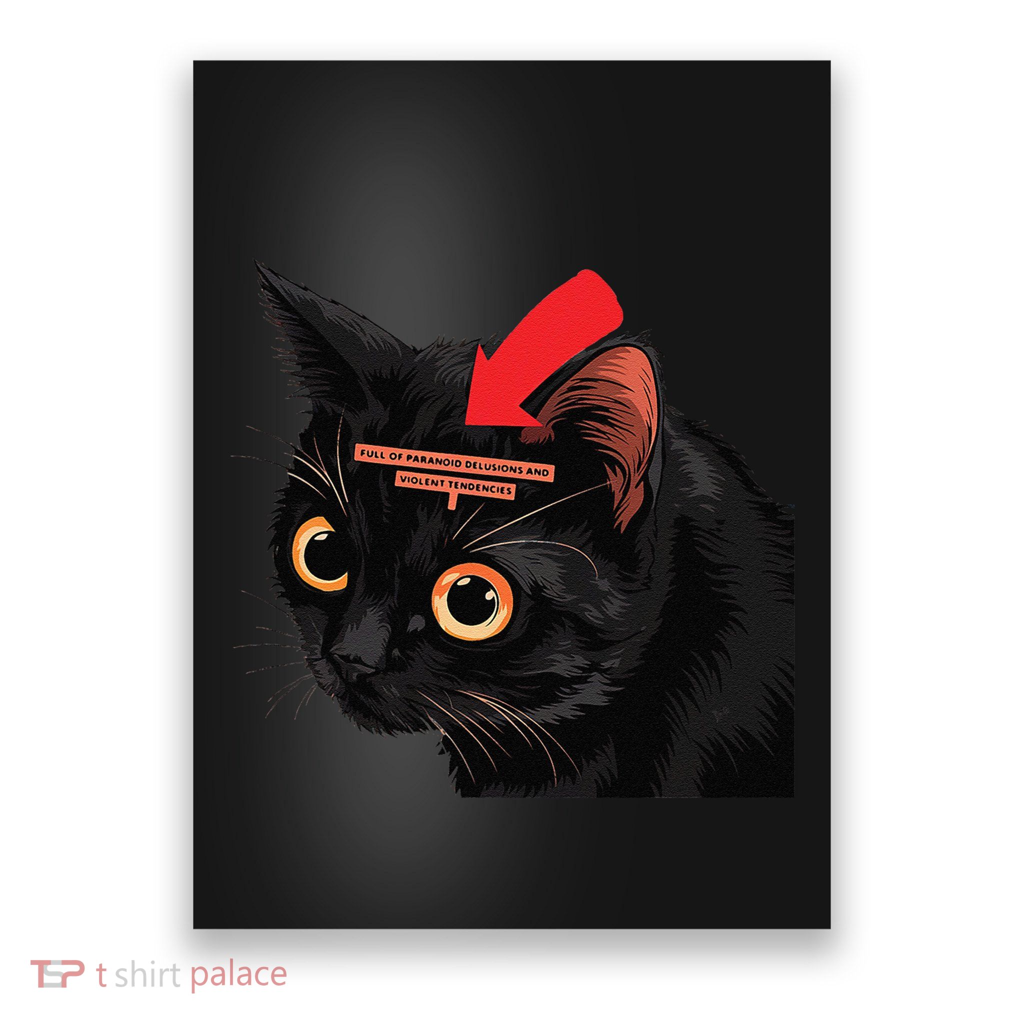Full Of Paranoid Delusions And Violent Funny Meme Cat Poster