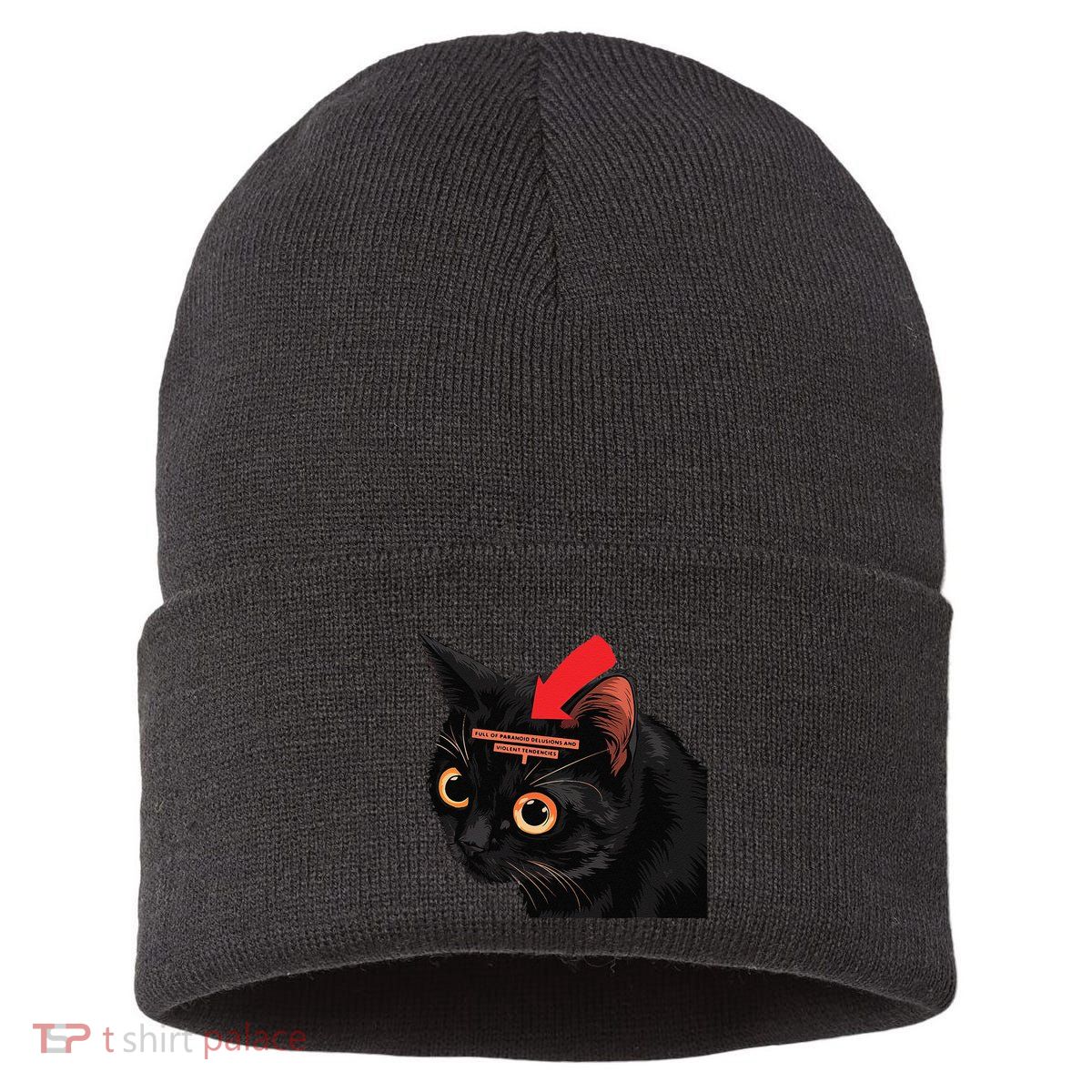 Full Of Paranoid Delusions And Violent Funny Meme Cat Sustainable Knit Beanie