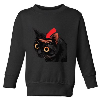 Full Of Paranoid Delusions And Violent Funny Meme Cat Toddler Sweatshirt