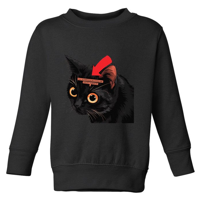 Full Of Paranoid Delusions And Violent Funny Meme Cat Toddler Sweatshirt