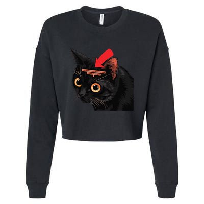 Full Of Paranoid Delusions And Violent Funny Meme Cat Cropped Pullover Crew