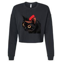 Full Of Paranoid Delusions And Violent Funny Meme Cat Cropped Pullover Crew