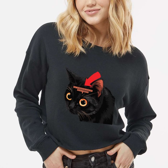 Full Of Paranoid Delusions And Violent Funny Meme Cat Cropped Pullover Crew