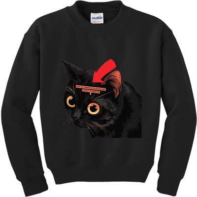 Full Of Paranoid Delusions And Violent Funny Meme Cat Kids Sweatshirt