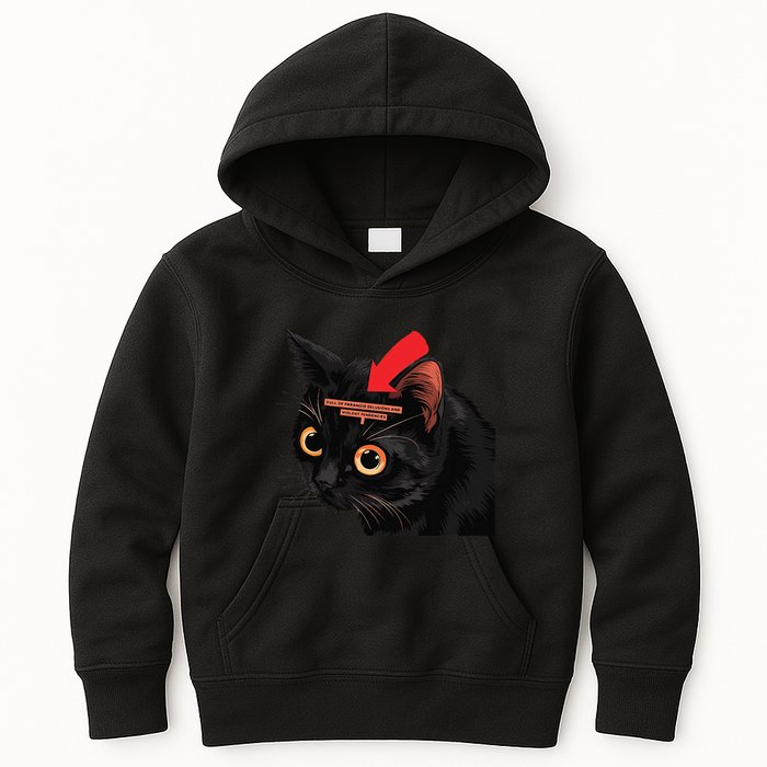 Full Of Paranoid Delusions And Violent Funny Meme Cat Kids Hoodie